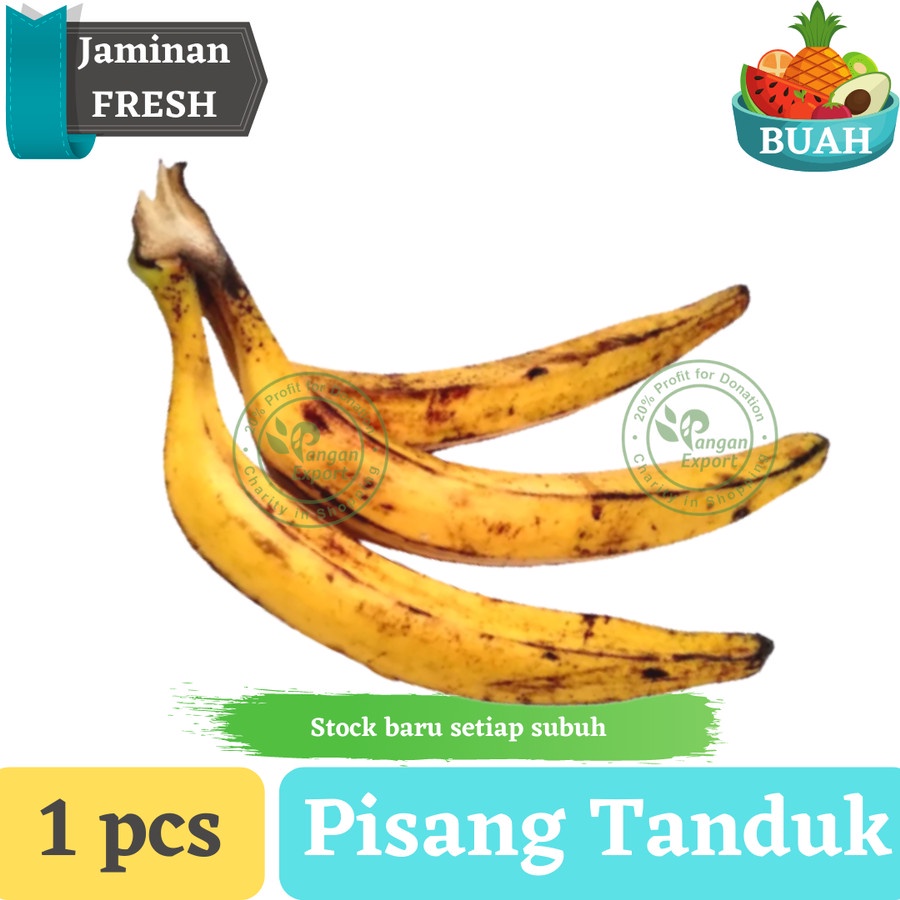 

Pisang Tanduk | Pisang Byar By Pangan Export Indonesia