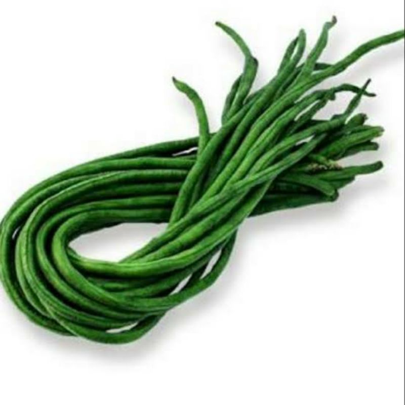 10 BUTIR- BENIH KACANG PANJANG PARADE TAVI