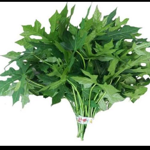 

Daun pepaya muda / pucuk segar