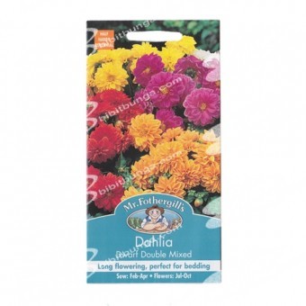 Bibit Benih Biji Mr Fothergills Dahlia Dwarf Double Mixed - 50 biji