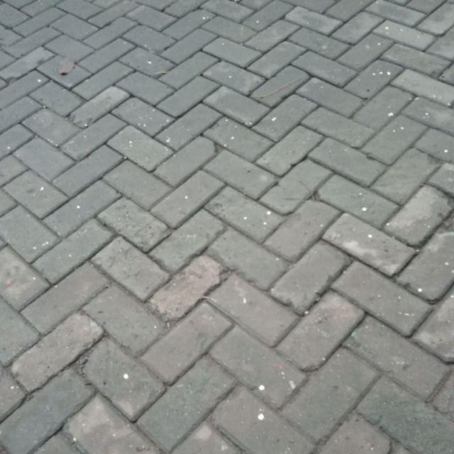 Small Summer Fresh Ecer