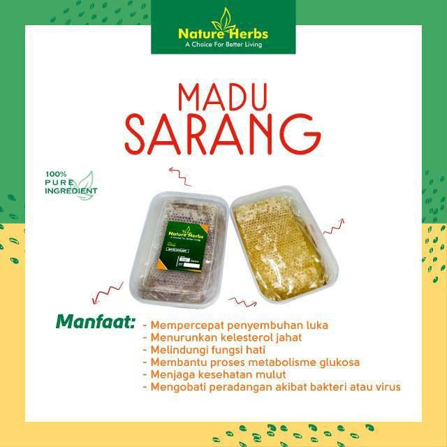 

Madu Sarang Nature Herbs