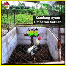 Jaring Pagar Ayam 1 meter/Jaring Size Lubang 2 inch /Jaring Kandang /Jaring Burung / Jaring Taman / 