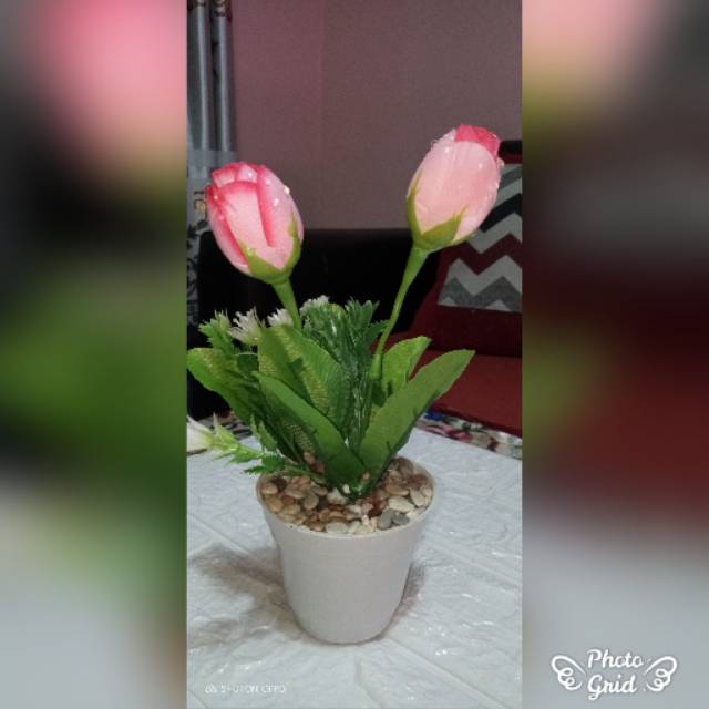 Bunga mawar hias plastik