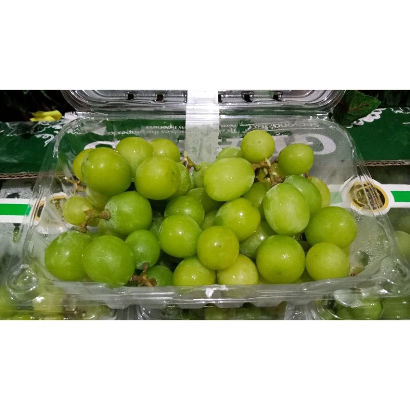 

Anggur Shine Muscat Pack
