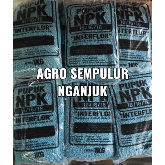 1kg Pupuk NPK 161616 / pupuk kimia NPK Biru