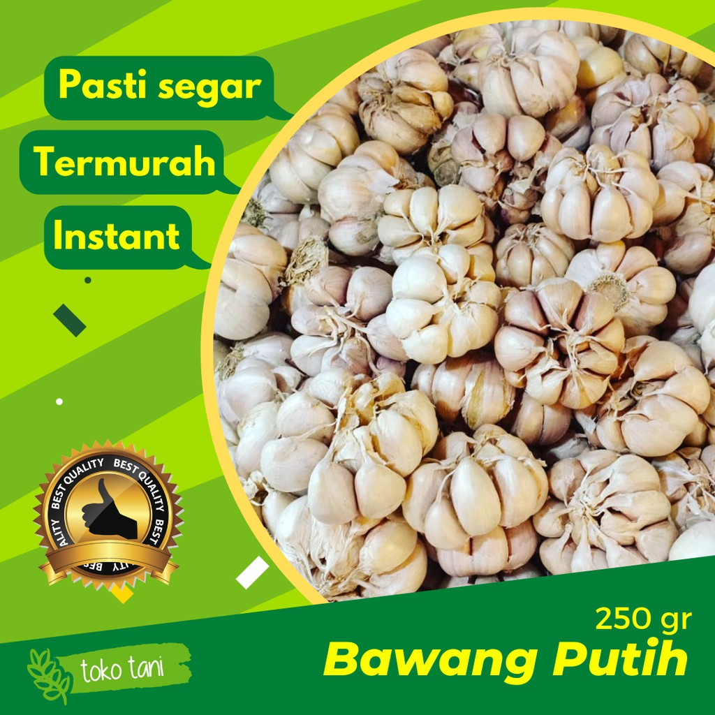 

Bawang Putih Kating 250gr Bersih