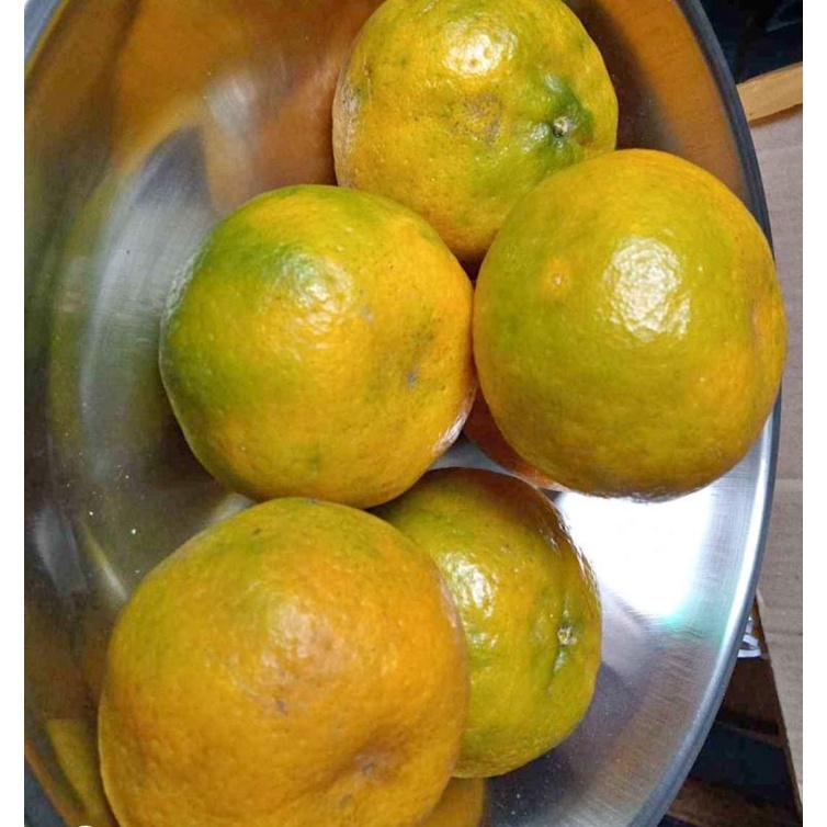 

BUAH JERUK MANDARIN KEPROK MANDARIN LOKAL BATU MALANG 1KG