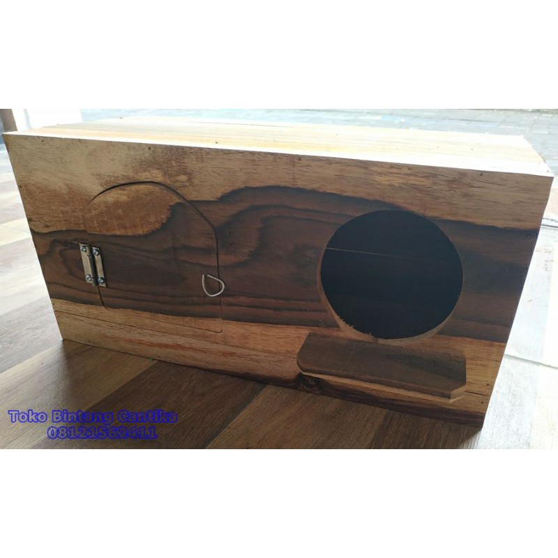 GlodokBurungFalkSuksesBerternakWow