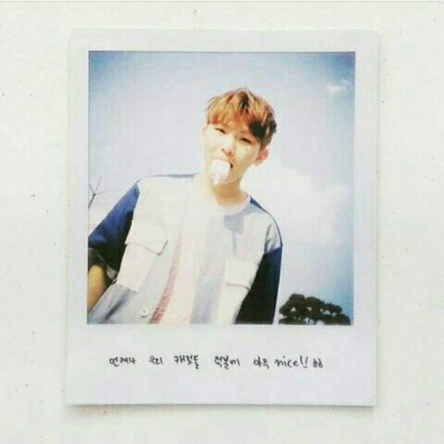Seventeen - Love&Letter Repackage (Aju Nice) Woozi Big Polaroid