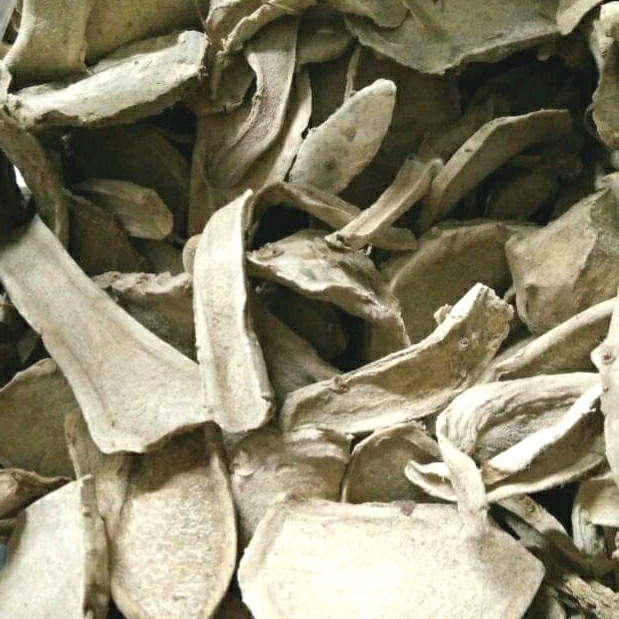 

Temu Hitam Kering 100 Gram TEMU IRENG CURCUMA AERUGTINOSA Temu Item