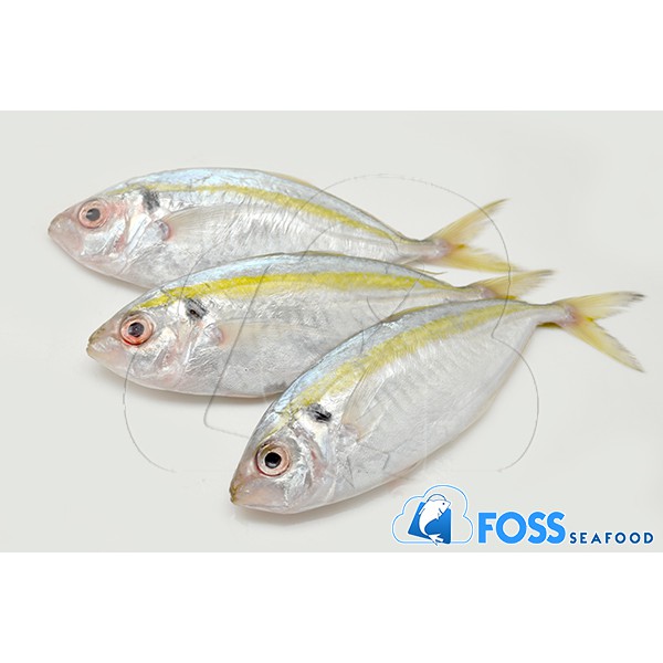 Foss Seafood Ikan Selar Frozen (beku)