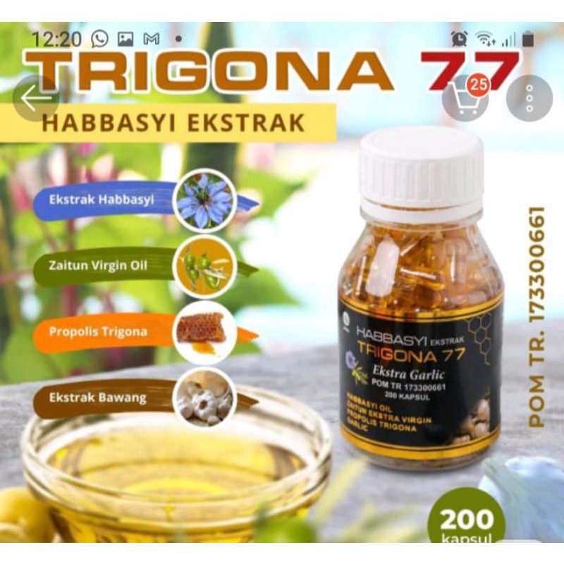 Habbasyi Trigona 77