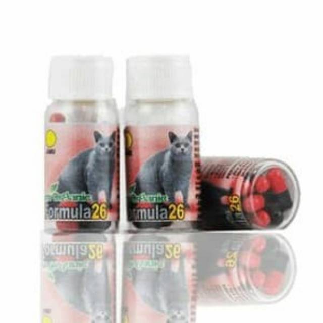Obat diare dan muntah kucing Im Organic formula 26