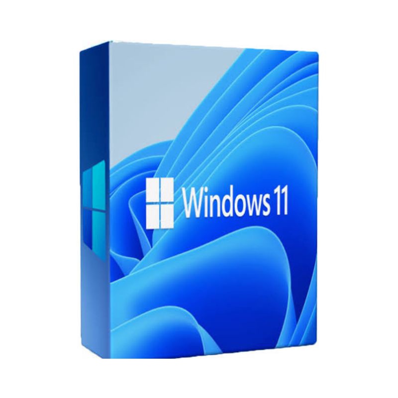 Windows 11 Pro (Original)