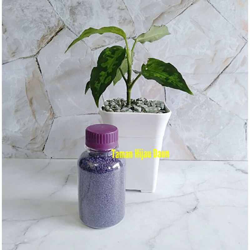 Insektisida Pembasmi Semut Dan Hama Lainya Pada Tanaman