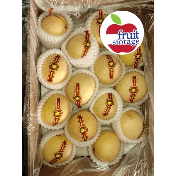 

Pear Golden Import manis fresh buah pir impor