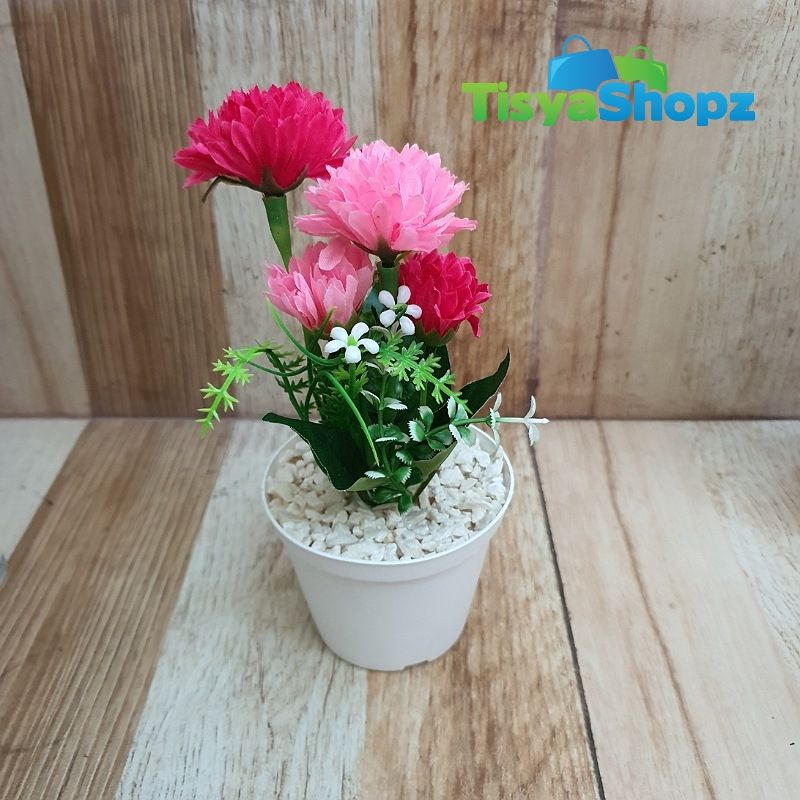 Bunga Pompom Bombay + Pot