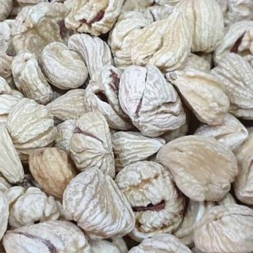 

Lakci / Chestnut Kering 100gr