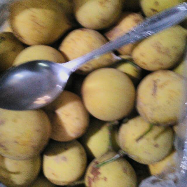 

Pala segar