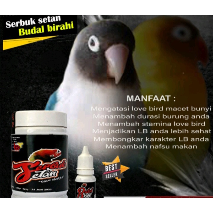 SERBUK SETAN BAHAN REMPAH HERBAL BIKIN BURUNG LOVEBIRD BERKARAKTER KONSLET GACOR SEHAT BERDURASI