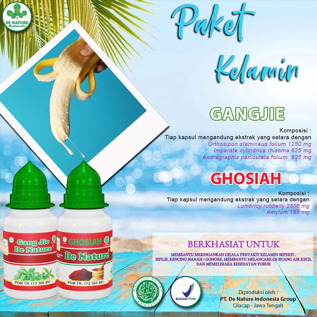 obat sipilis, obat sipilis raja singa, obat sipilis atau gonore, kencing nanah Herbal De Nature