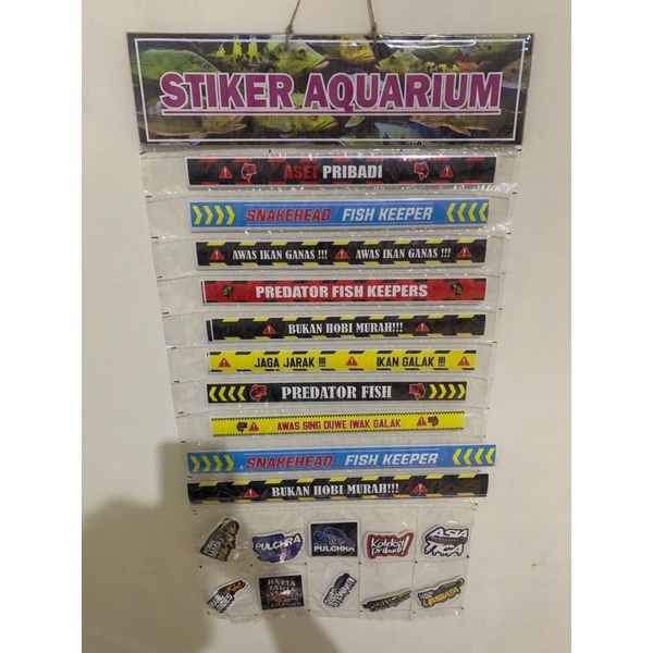 PAKET isi 70pcs stiker channa , sticker channa gratis tempat stiker / packaging Sticker ikan CHANNA AQUARIUM, STICKER, antiAIR stiker ikan hias, cana stiker predator , stiker iwak galak