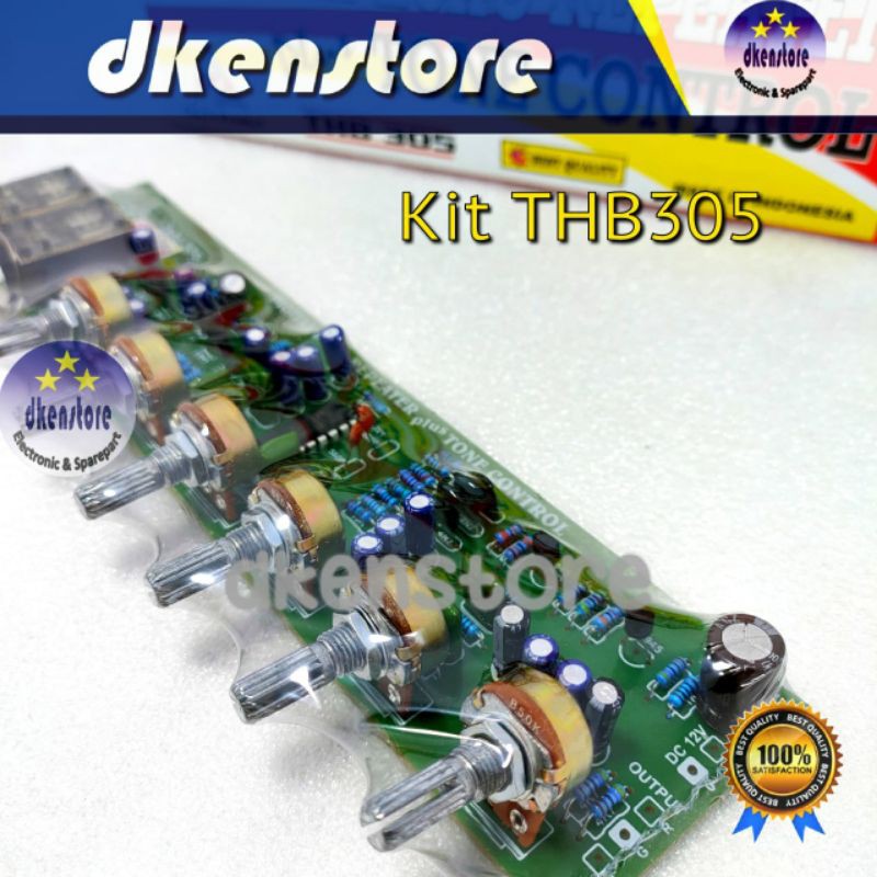 Kit THB305 Digital Echo Repeater Tone Control 2 Mic