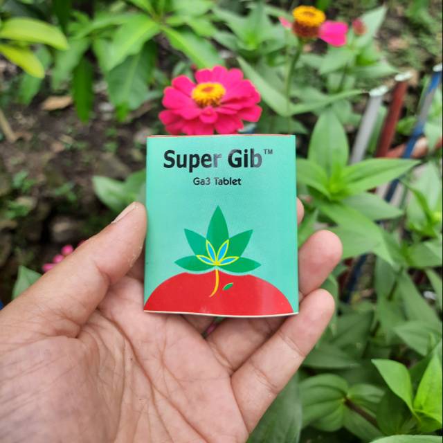 

Premium SUPER GIB supergib ga3 tablet