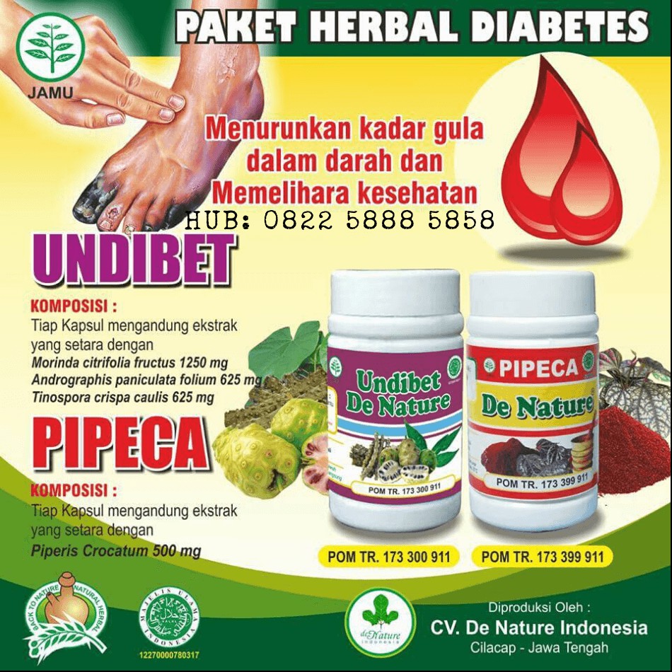 Diabetes Herbal Obat Semarang