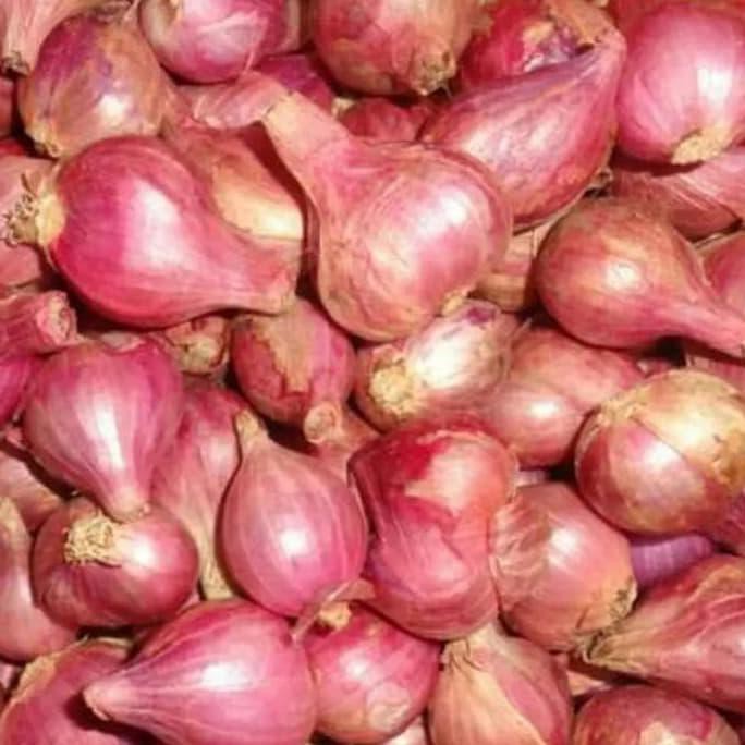 

Diskon bawang merah pilihan Cuci Gudang Awal Tahun