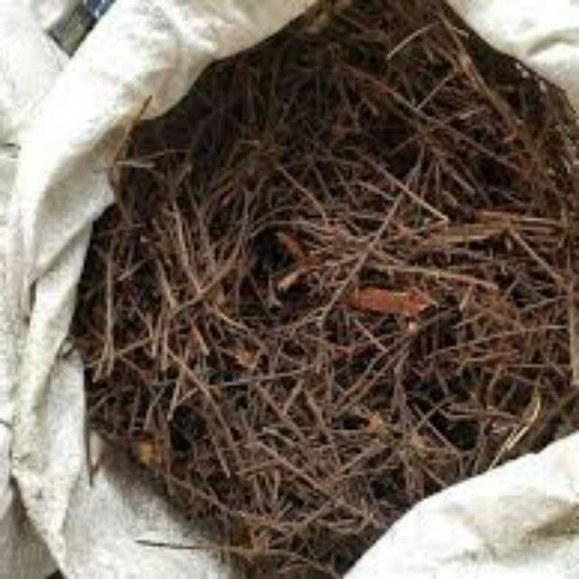 Media tanam akar pakis cacah 1 kg