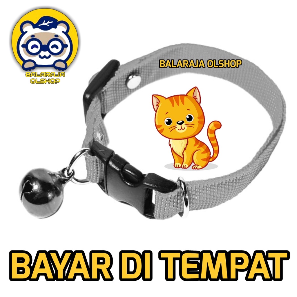 Kalung Kucing Musang Kelinci Polos Lonceng Ready Semua Warna