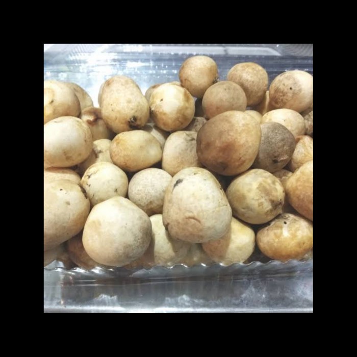 

Jamur Merang segar - 250 gram
