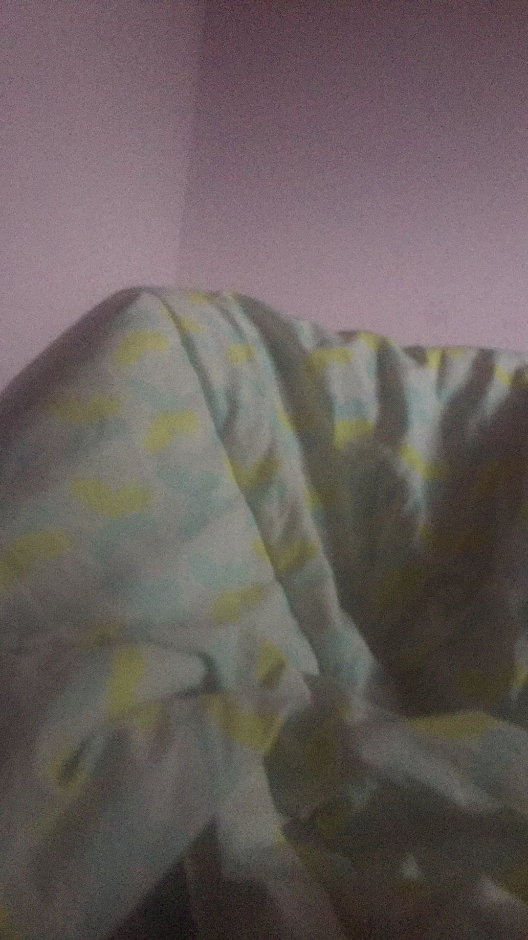 Tempat Sampah Semar / Tong Sampah 60 Liter - Sparta