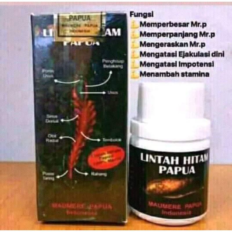 Minyak  Lintah Papua 100% Original