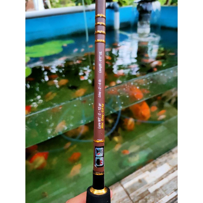 Relix Nusantara Rotan 2-6 lbs ( second )