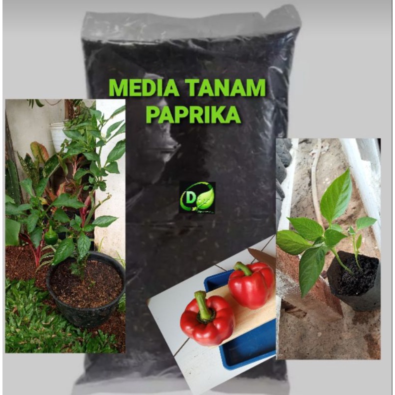 Media Tanam Paprika (khusus paprika, cabai rawit, tomat, jeruk)