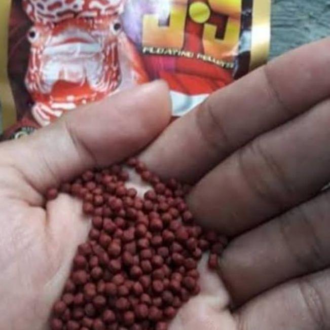 ♣ Pelet 99 Louhan size M ۝