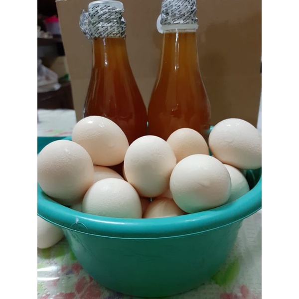 Madu ASLI 100% Murni Tawon Alas & Tawon Ternak