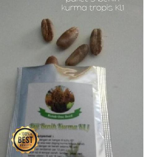 OKE PRICE.. KURMA TROPIS BIBIT BENIH VARIETAS UNGGUL HIBRIDA KOLAK ONE KL1 SELL3R