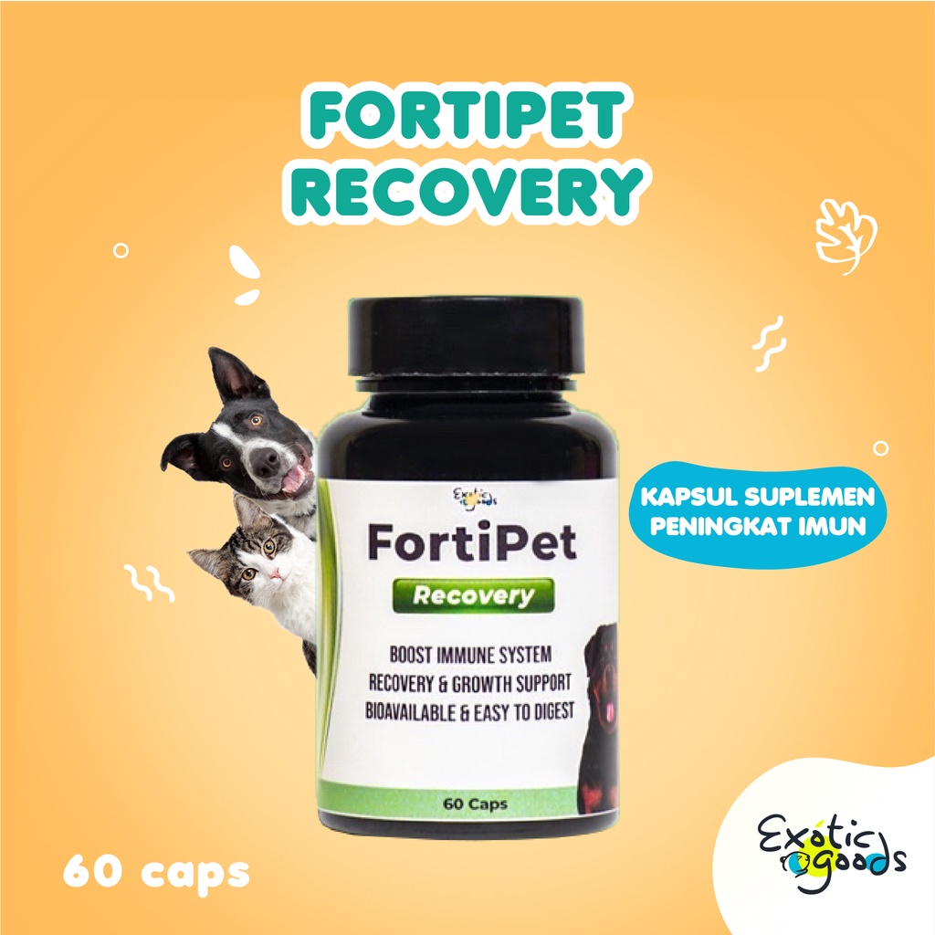 FORTIPET RECOVERY 60 KAPSUL SUPLEMEN PENINGKAT IMUN ANJING IMUN KUCING OBAT PENYEMBUH LUKA ANJING VITAMIN ENERGI ANJING MENINGKATKAN IMUNITAS HEWAN VITAMIN ANJING VITAMIN KUCING TRANS FACTOR KUCING TRANS FACTOR ANJING