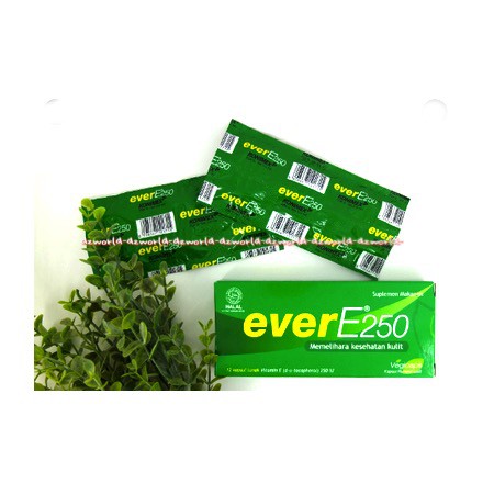 Ever E 250 vitamin lunak Natur E Kapsul Vitamin E Untuk Kulit EverE250 Ever-E