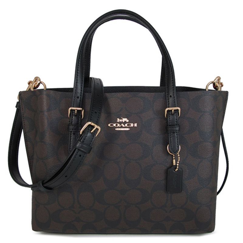 Coach Tote in Signature Canvas Mollie Brown (C4250)