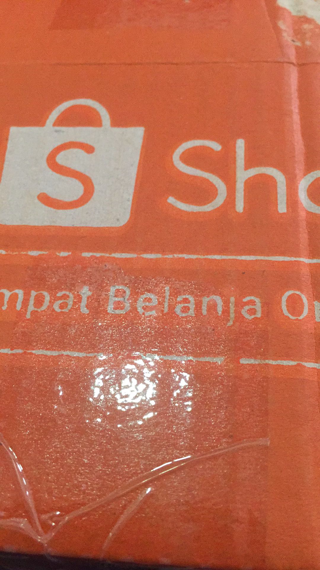 Petite Fiesta & Small Summer (3 Pcs) Bekal Tupwr