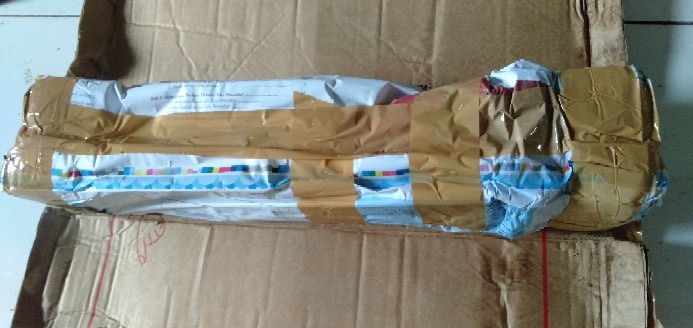 Bibit Tanaman Binahong Ungu Pohon Binahong Ungu Daun Binahong Ungu Basella Alba Herbal