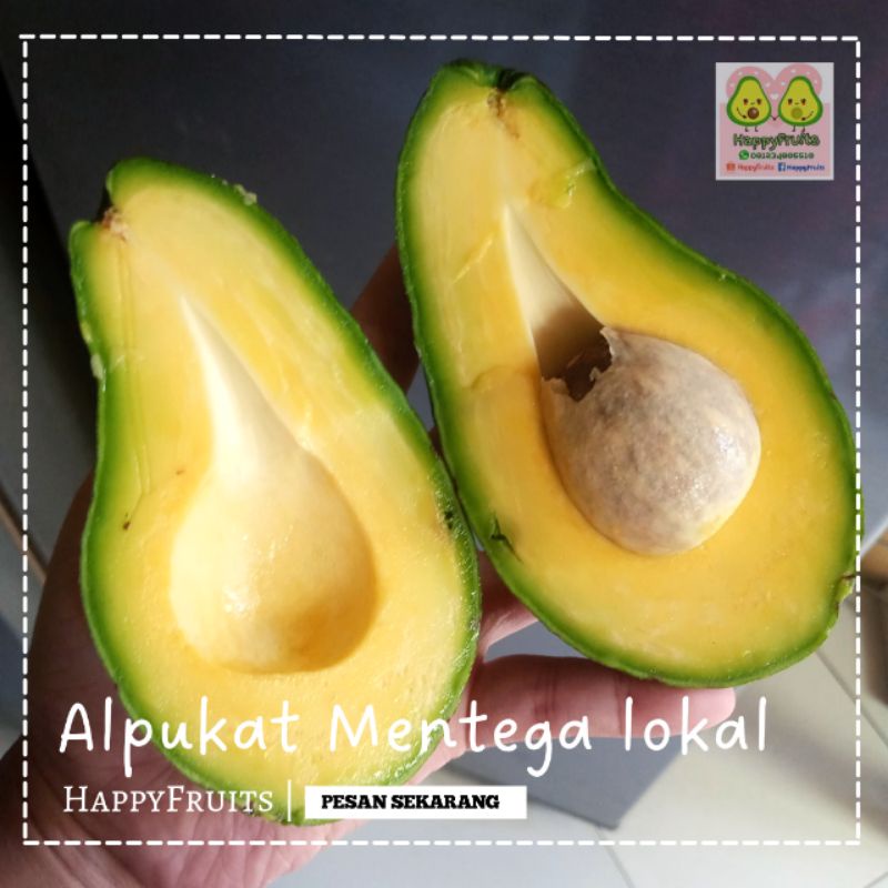 

BUAH ALPUKAT MENTEGA LOKAL HAPPYFRUITS 1KG