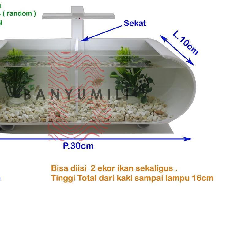 ☝ aquarium / aquarium mini / aquarium mini + sekat / aquarium akrilik + sekat ✯