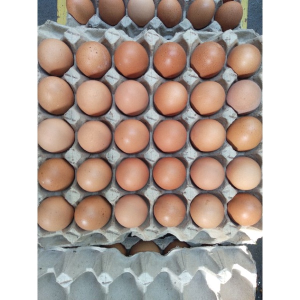 

Telur Ayam Negri 30 Butir