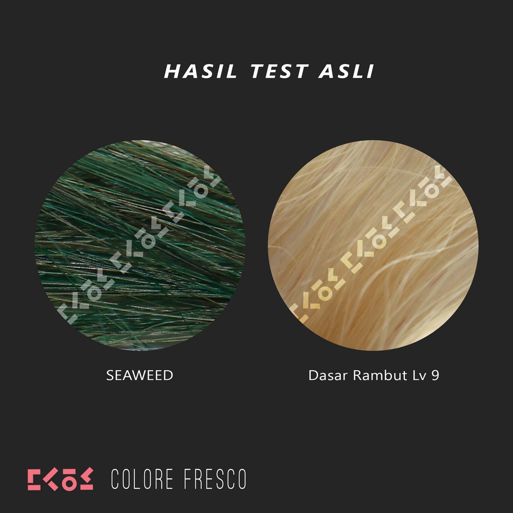 COLORE FRESCO - SEAWEED color cream cat pewarna rambut hijau